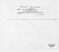 Image Associated With the Occurence